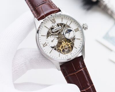 Omega Watch view 1