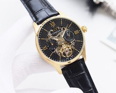Omega Watch view 8