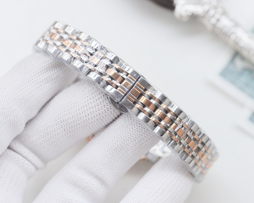 Omega Watch view