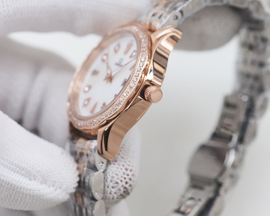 Omega Watch view