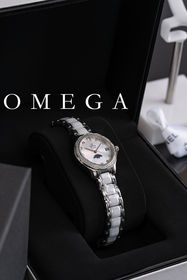 Omega Seamaster Watch view