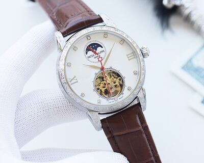 Patek Philippe Complications Watch view 6