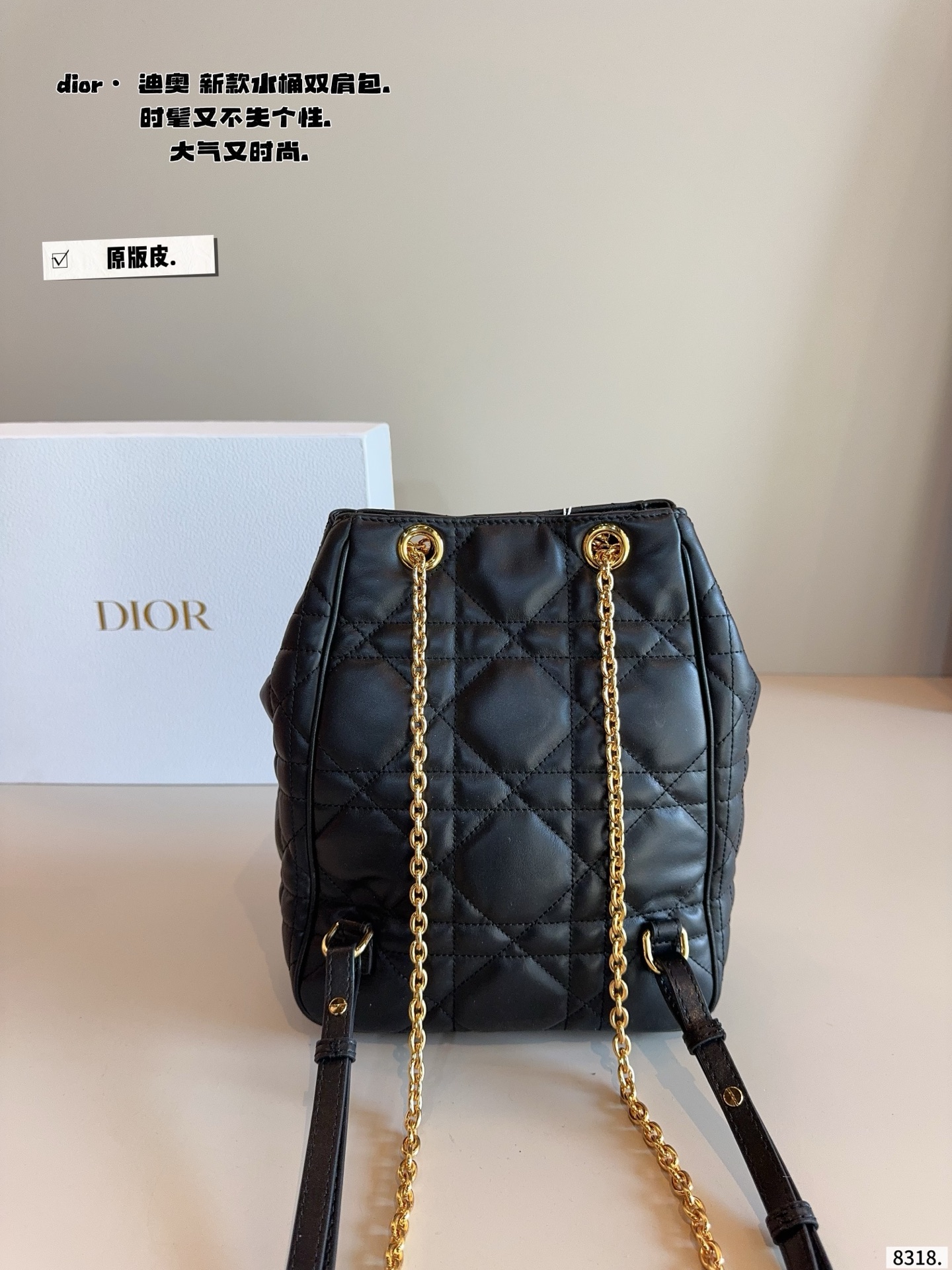 Dior C'est Dior 25FW Mini Bucket Backpack with Gift Box view