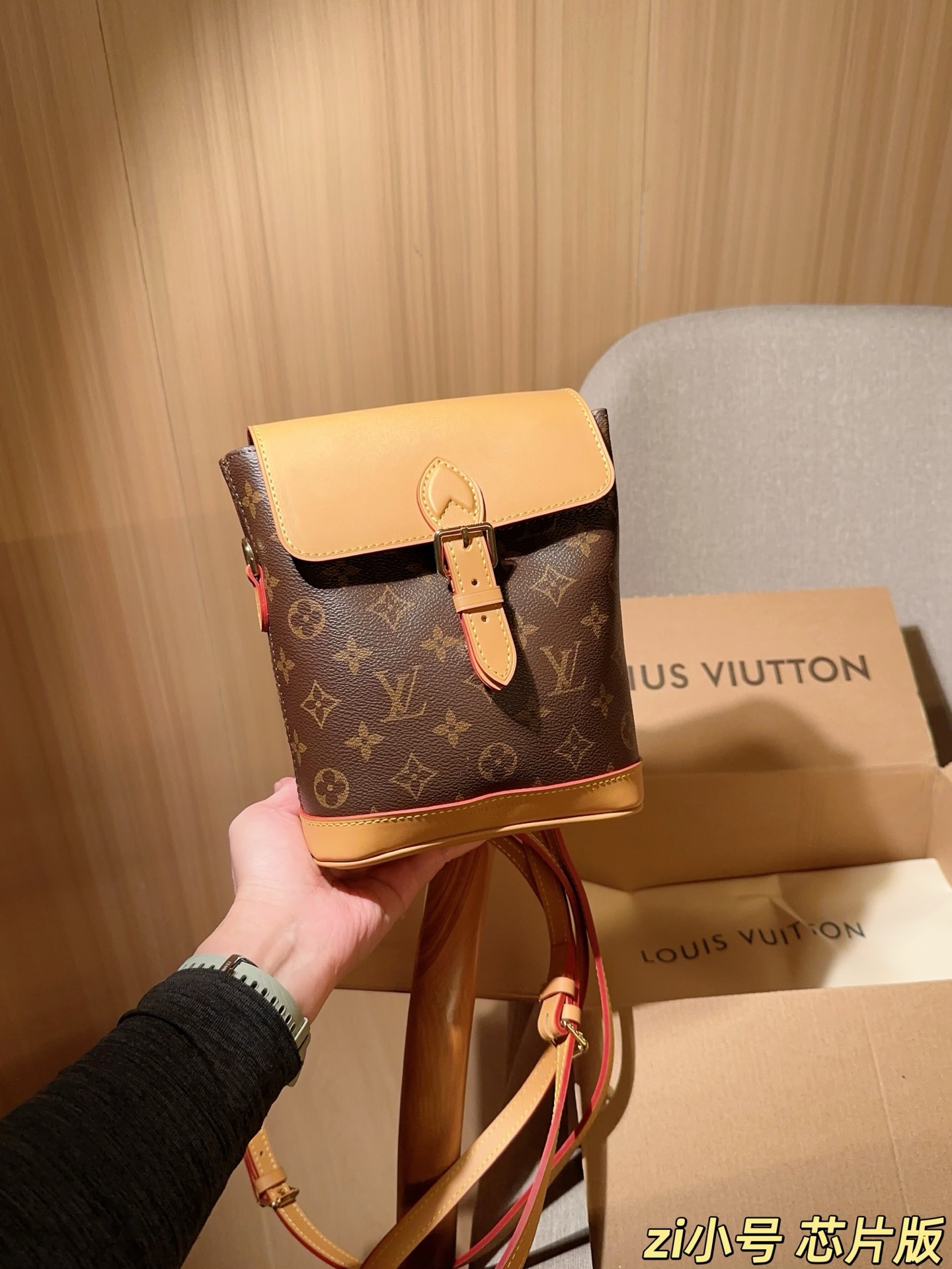 Louis Vuitton Soho Mini Convertible Backpack view