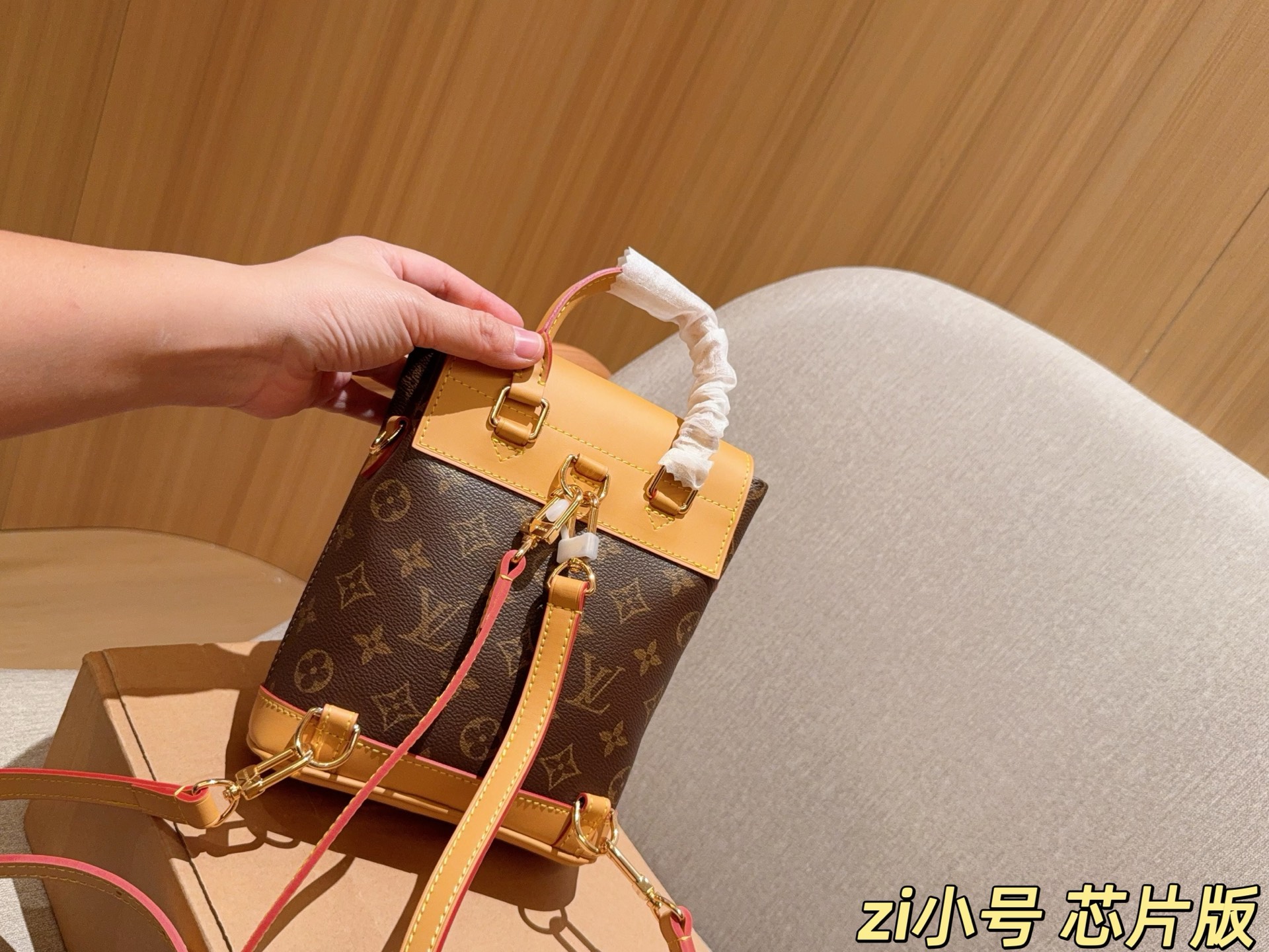 Louis Vuitton Soho Mini Convertible Backpack view