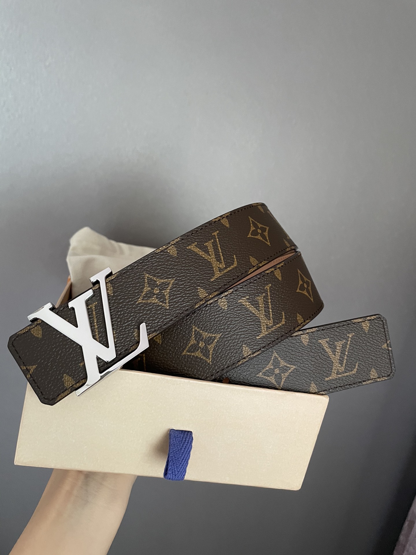 Louis Vuitton Damier Canvas Belt with LV Buckle view