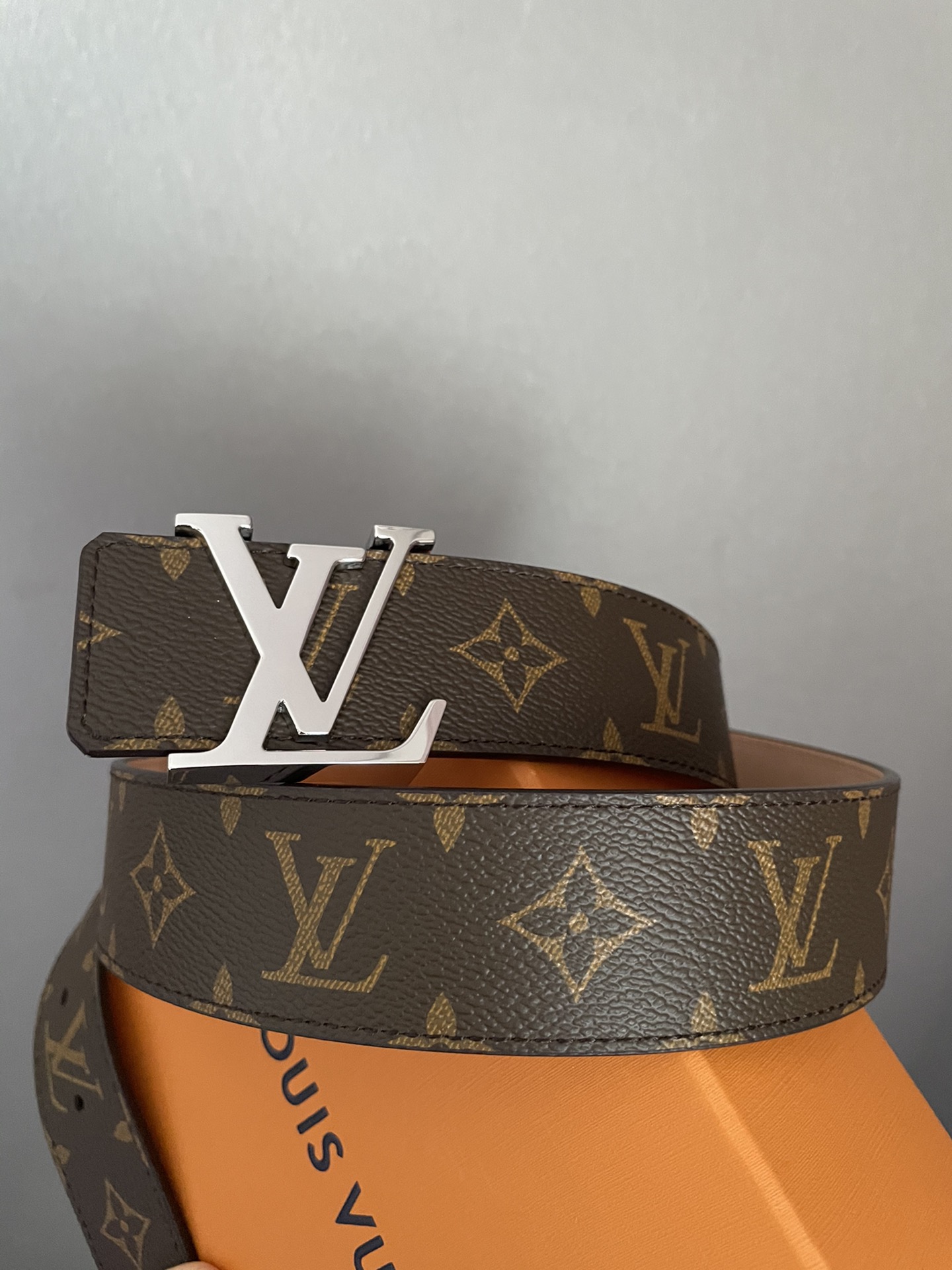 Louis Vuitton Damier Canvas Belt with LV Buckle view