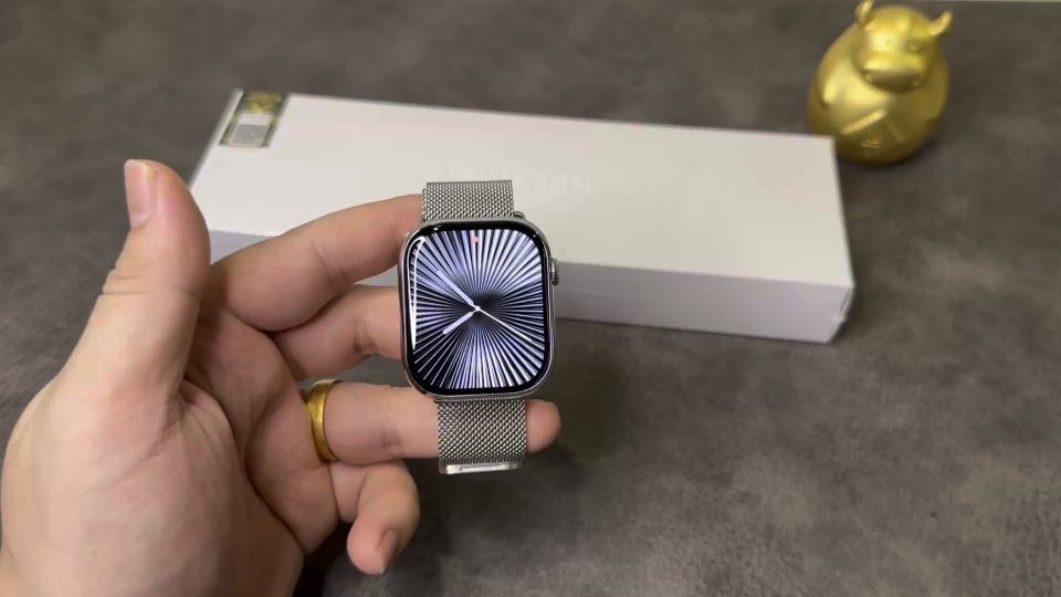 Apple Watch JD Upgrade Edition - Function Demo (Video Preview)