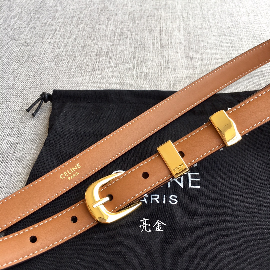 Celine Triomphe Canvas Belt 18mm view