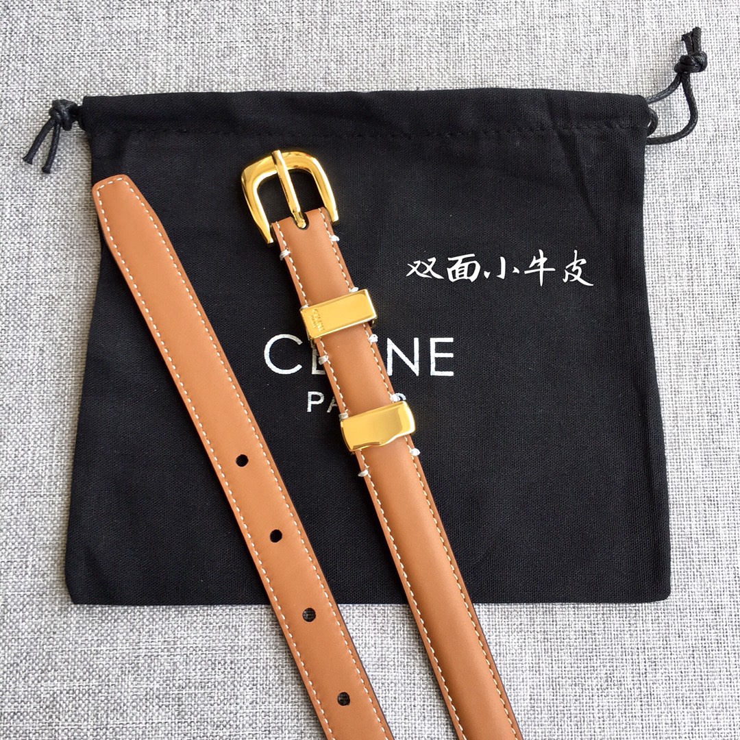 Celine Triomphe Canvas Belt 18mm view