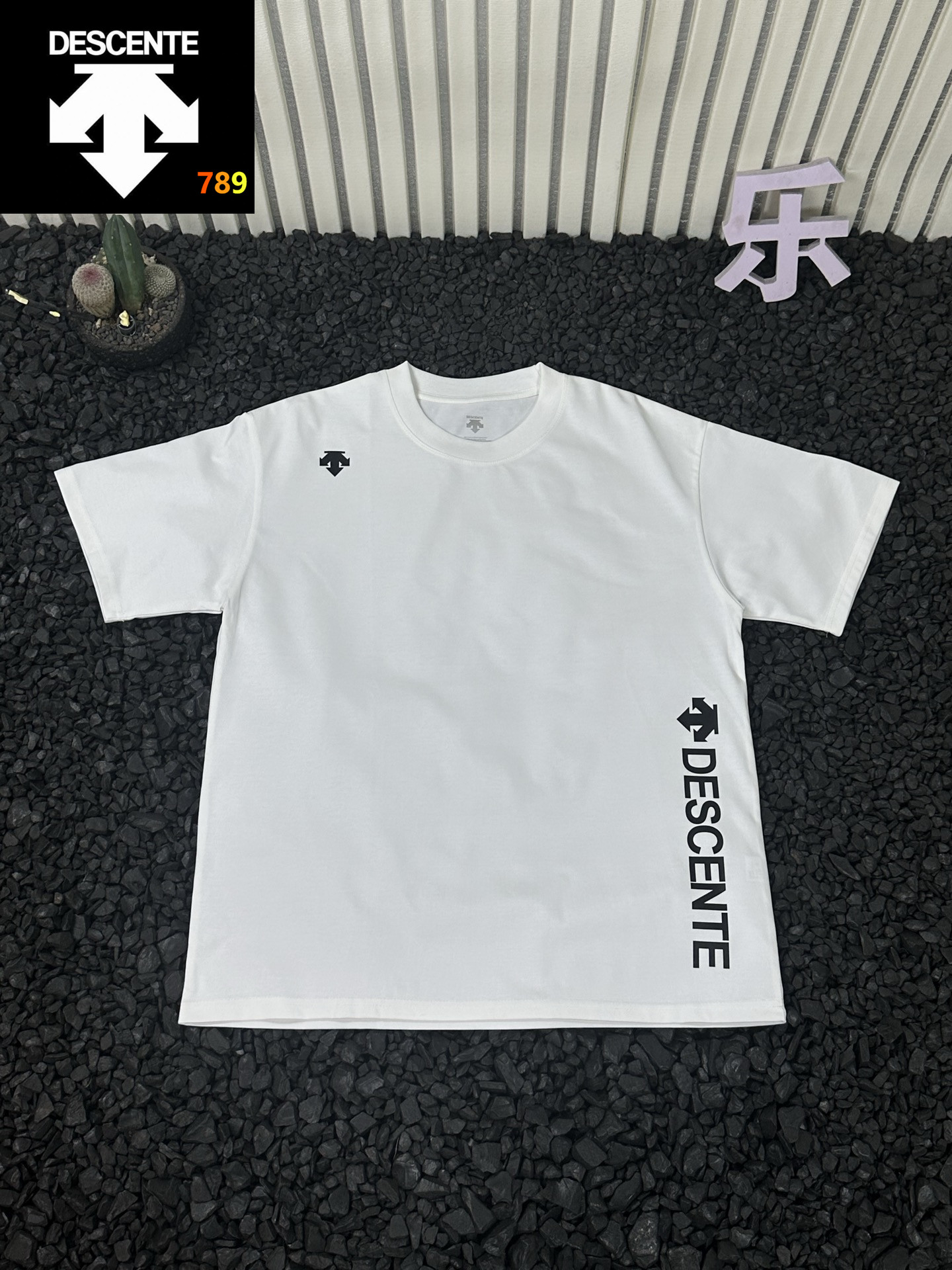 Descente Classic Logo Unisex Short-Sleeve T-Shirt view 2