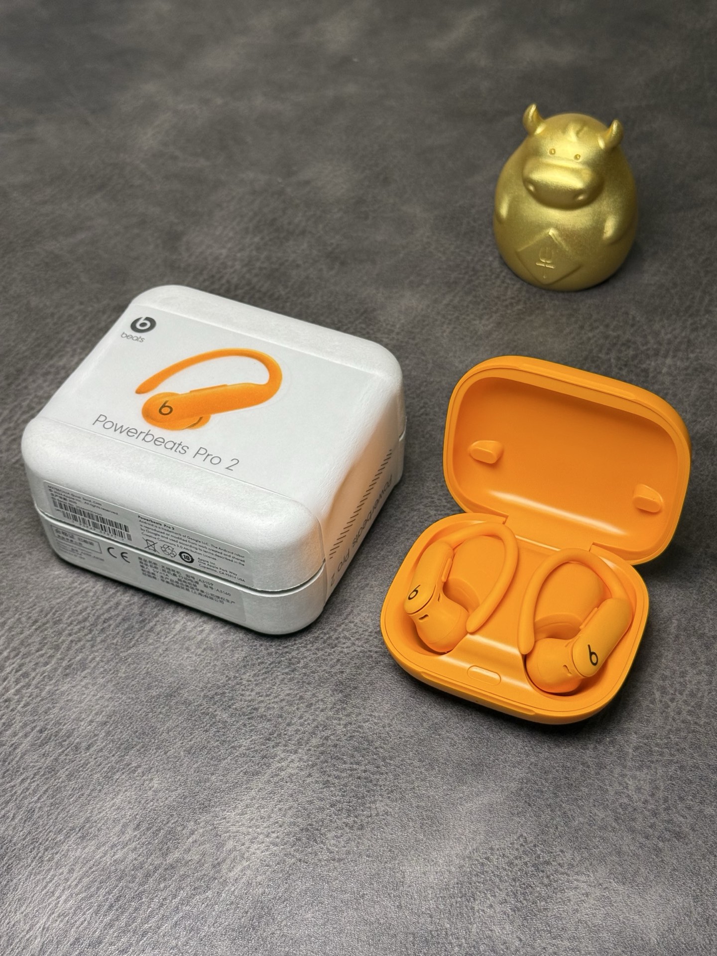 Beats Powerbeats Pro 2 Over-Ear Sport Earphones view