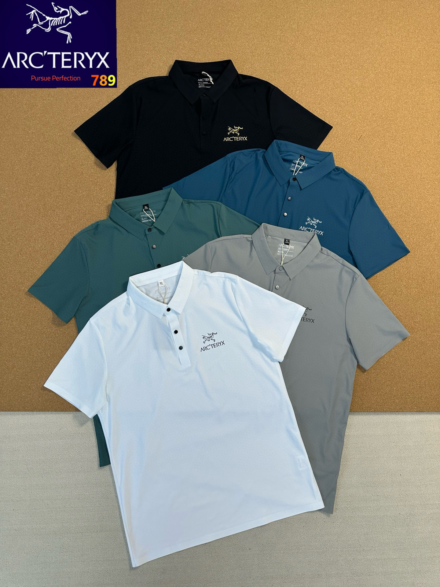 Arc'teryx Printed Logo Quick-Dry Polo Shirt (Unisex) view 1