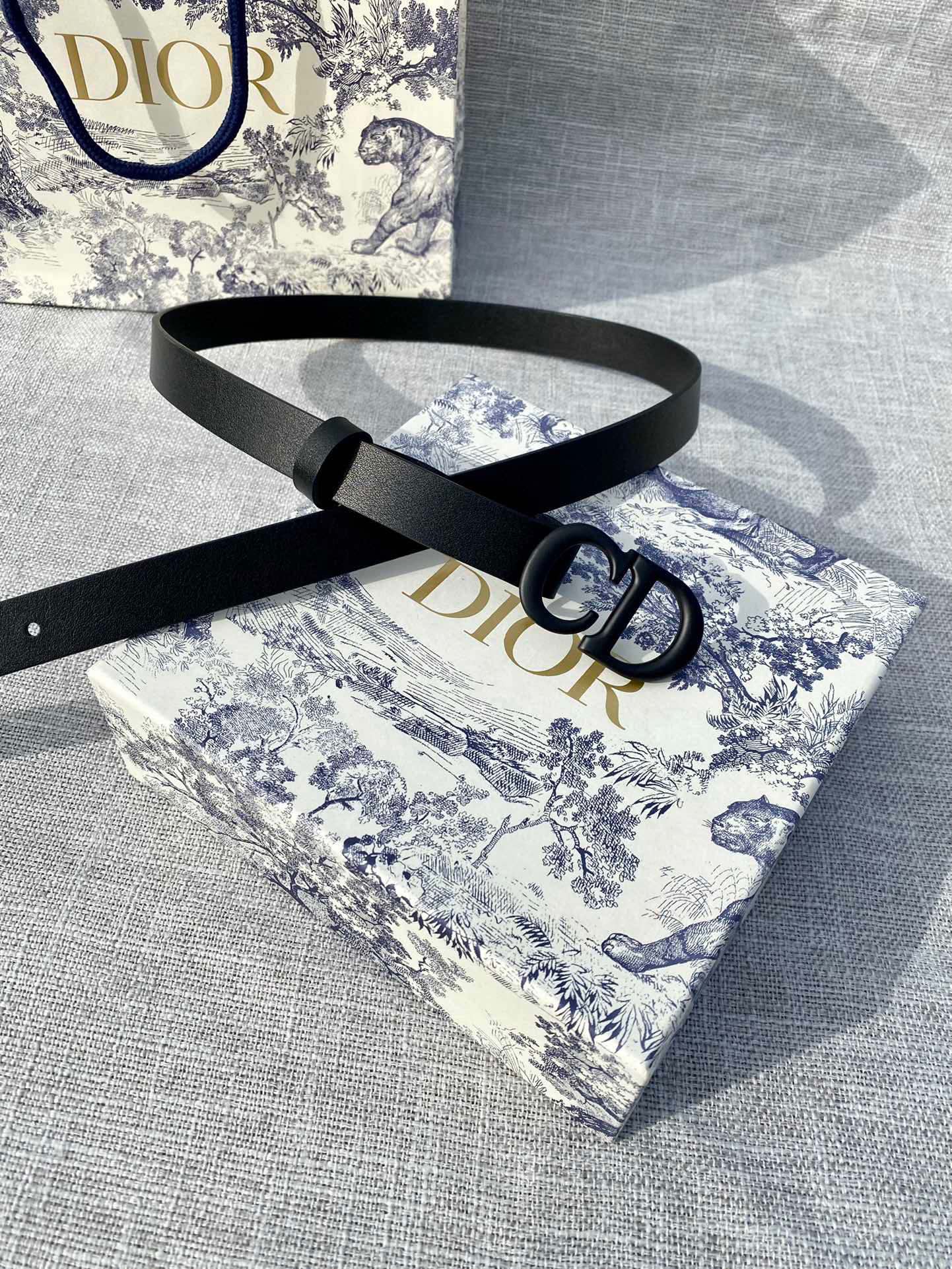 Dior Saddle CD Logo Reversible Belt 2.0 cm view 2