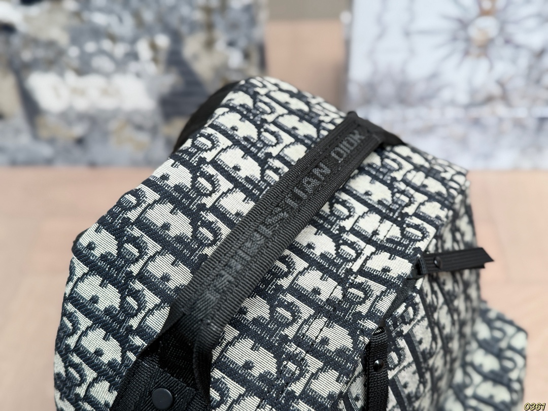 Dior Oblique Backpack view 4