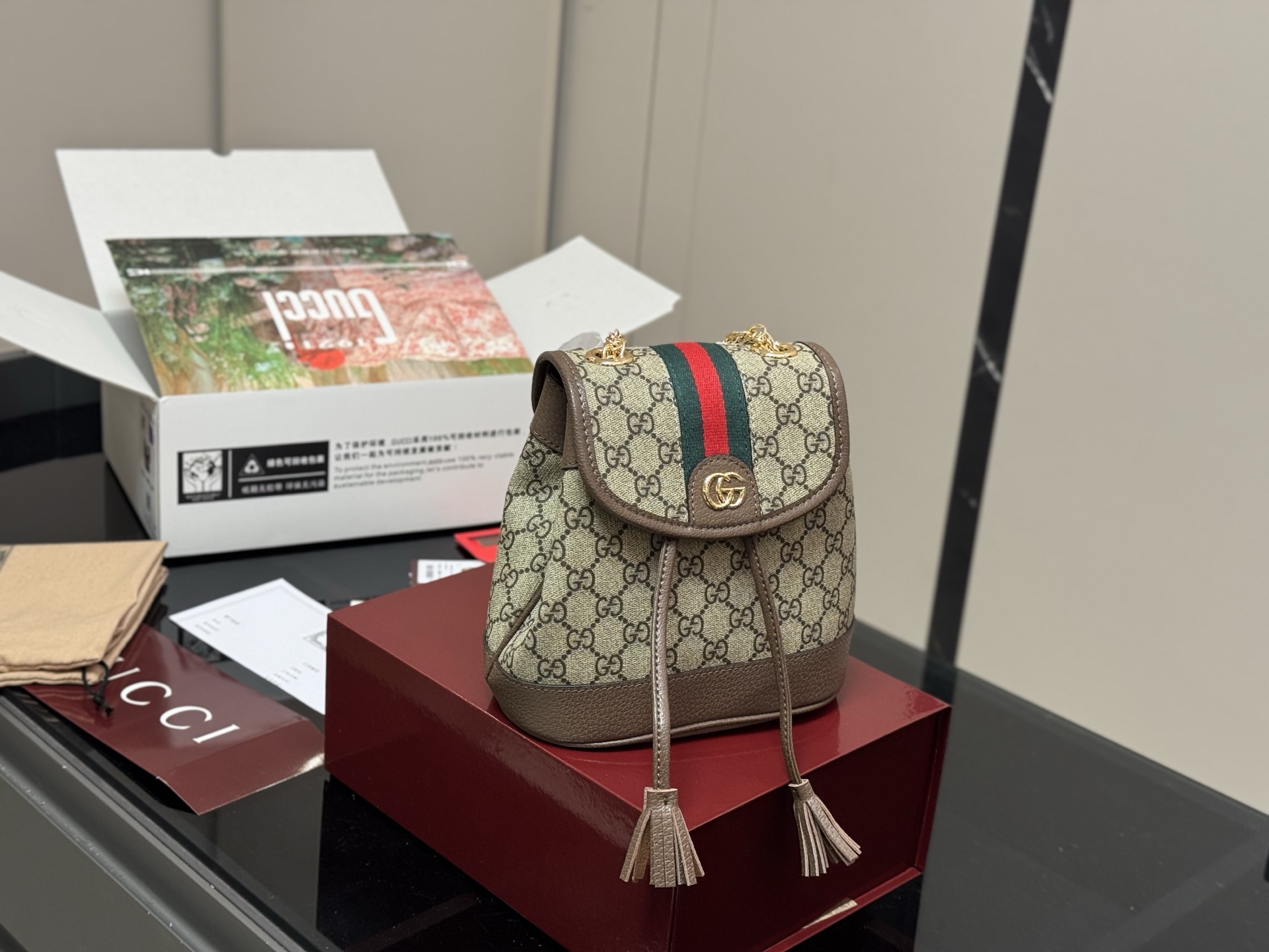 Gucci GG New Style Canvas Backpack view 5