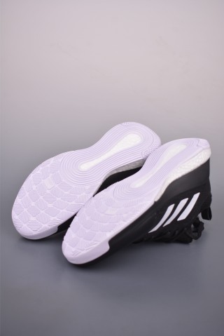 Adidas Crazyflight Mid view 21