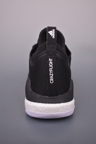 Adidas Crazyflight Mid view 22