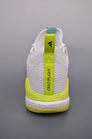 Adidas Crazyflight Mid view 22