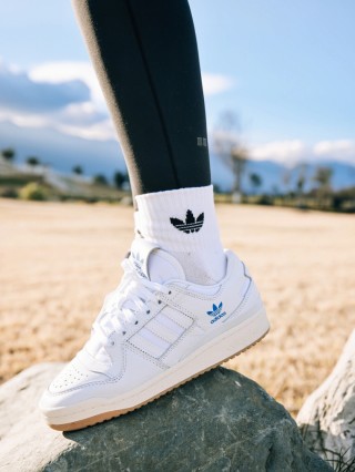 Adidas Forum 84 Low view 2