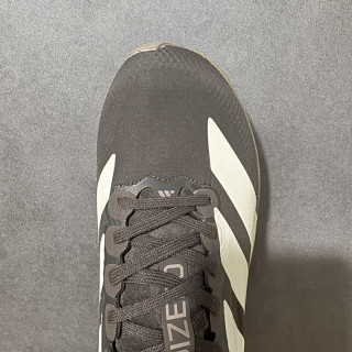 Adidas Adizero Evo SL view 5