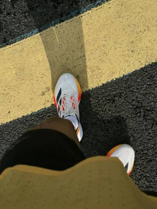 Adidas Adizero Boston 12 view 2