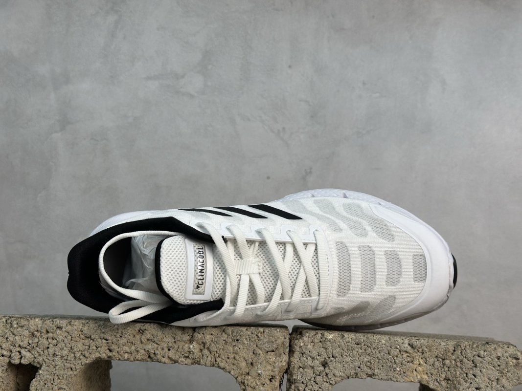 Adidas Climacool view