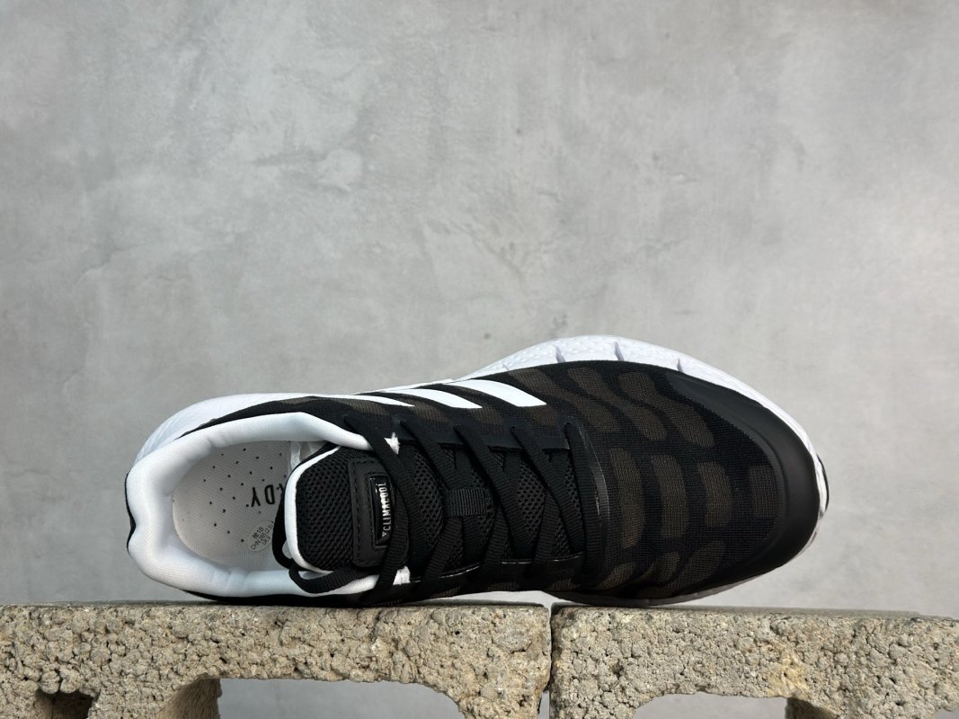 Adidas Climacool view