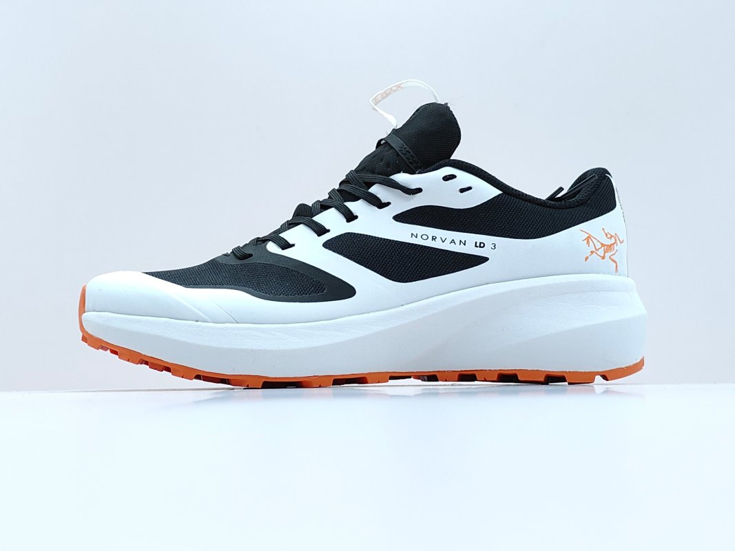 Arc'teryx Norvan LD3