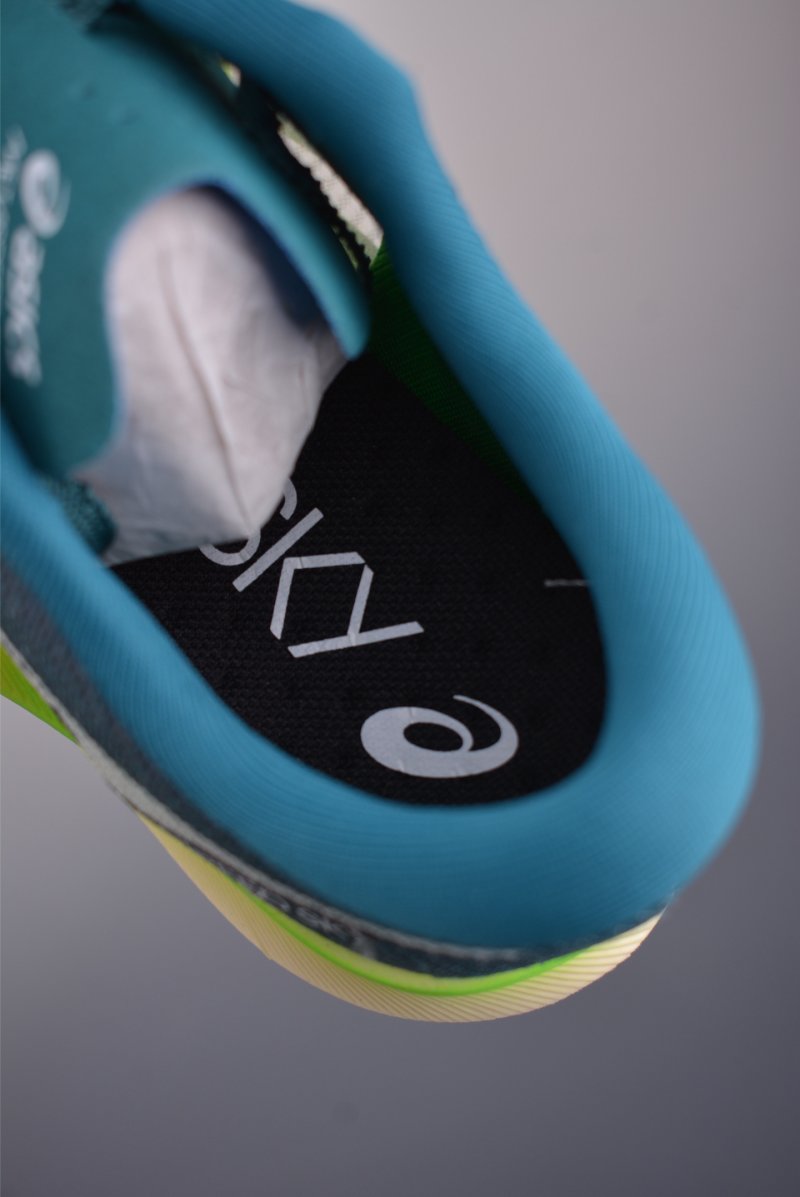 Asics Metaracer Tokyo view