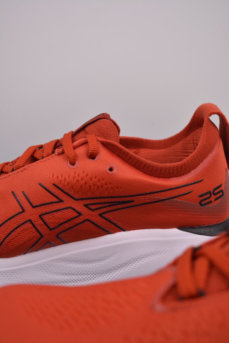 Asics Nimbus 25 view
