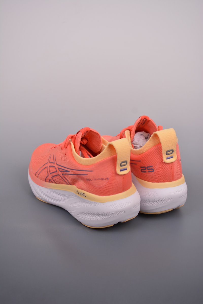 Asics Nimbus 25 view