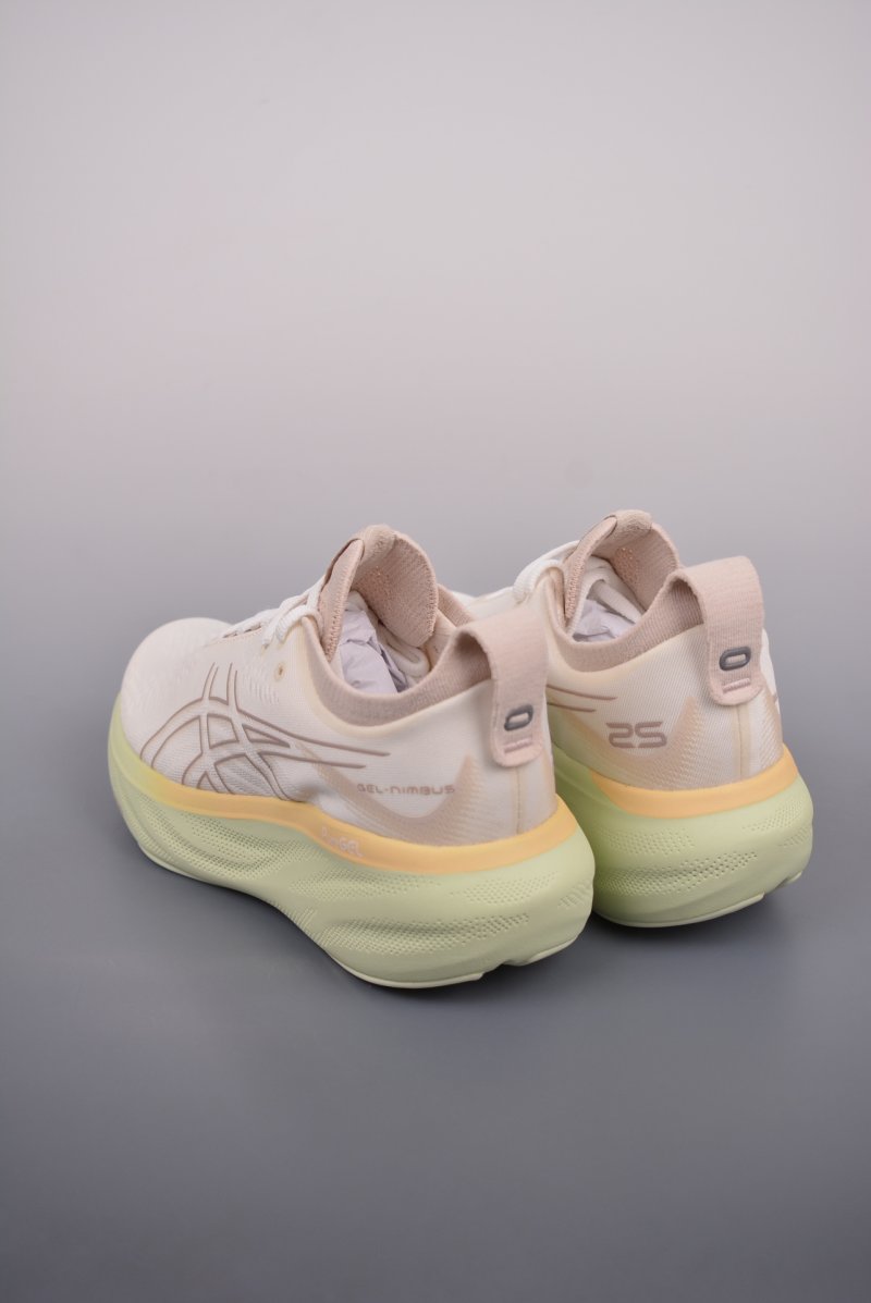 Asics Nimbus 25 view