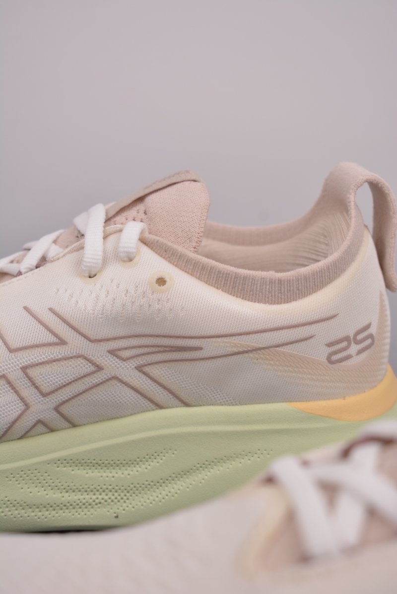 Asics Nimbus 25 view