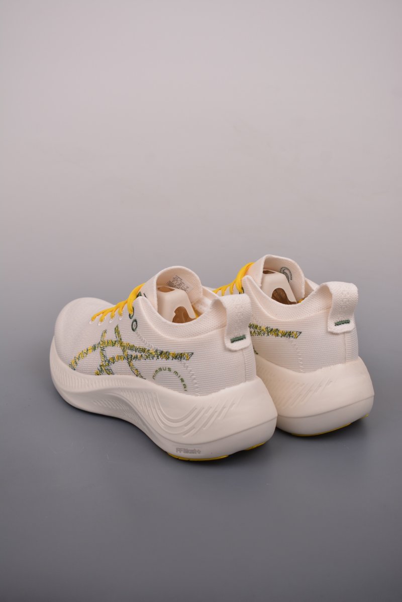 Asics Nimbus Mirai Paris view
