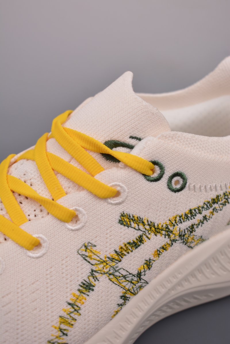 Asics Nimbus Mirai Paris view