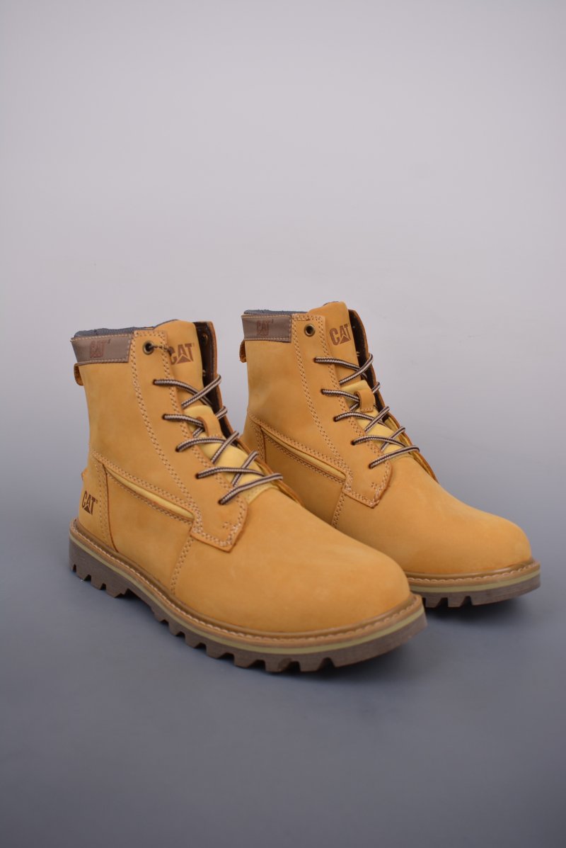 Caterpillar Cat 'Gold'