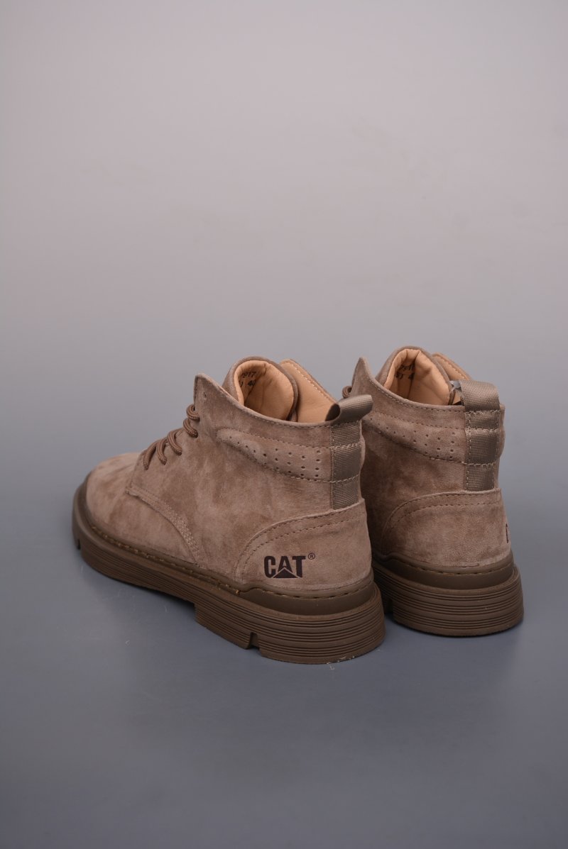 Caterpillar Cat view