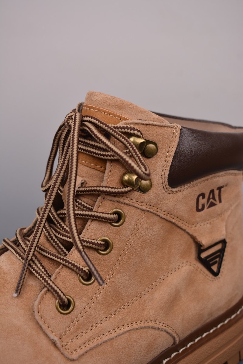 Caterpillar Cat 'Gold' view