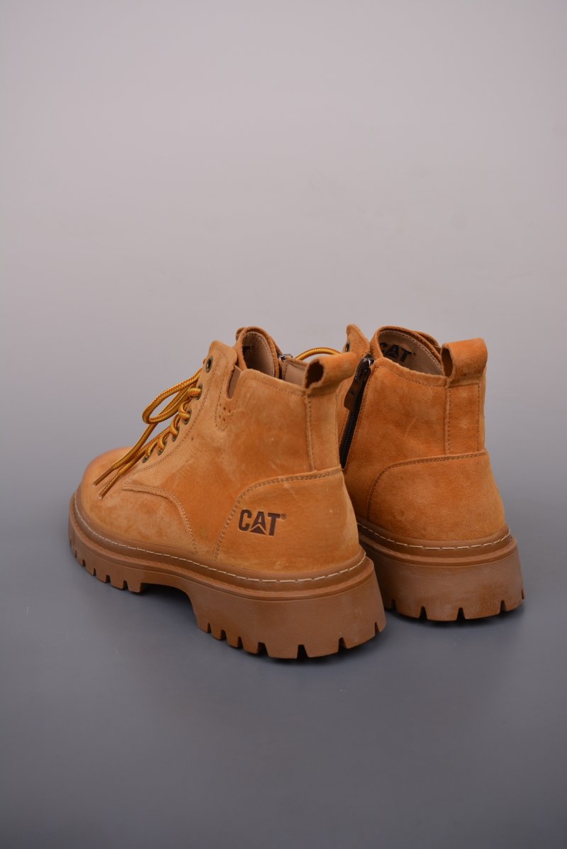 Caterpillar Cat 'Gold' view