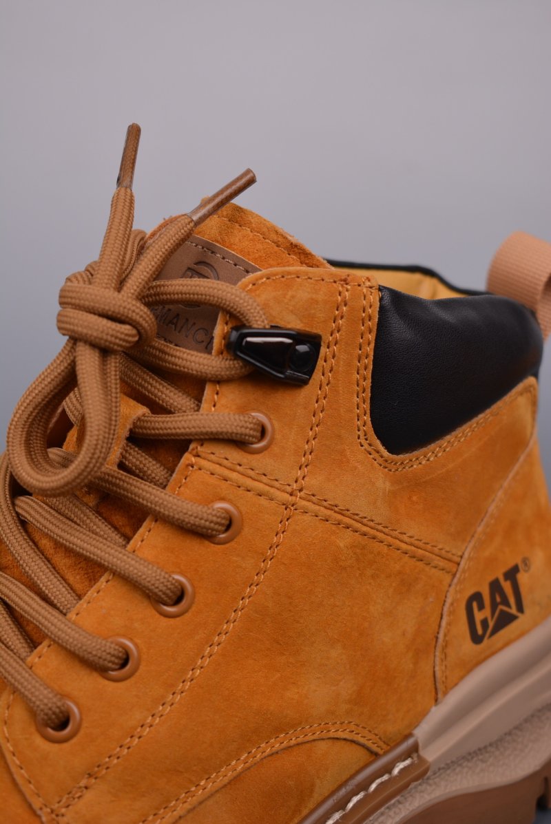 Caterpillar Cat Y 'Gold' view