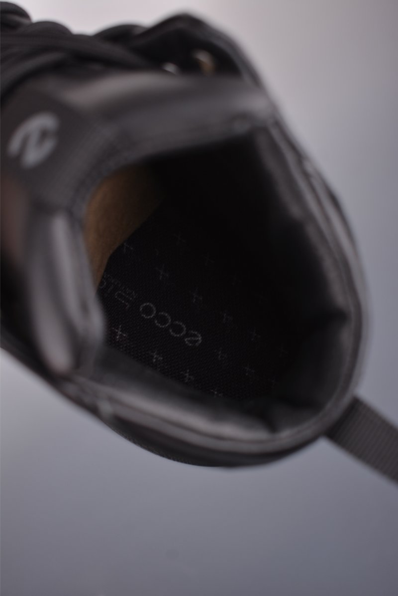 ECCO BIOM 15th Anniversary Boot view