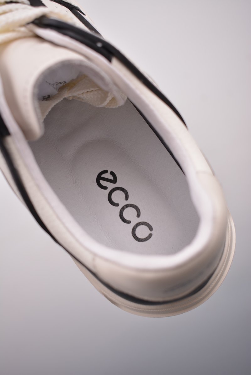 ECCO Ab 'White' view