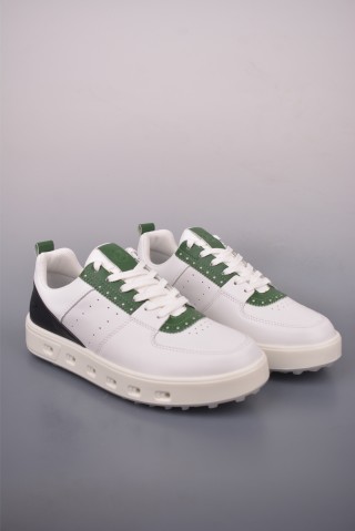 ECCO Biom view 1