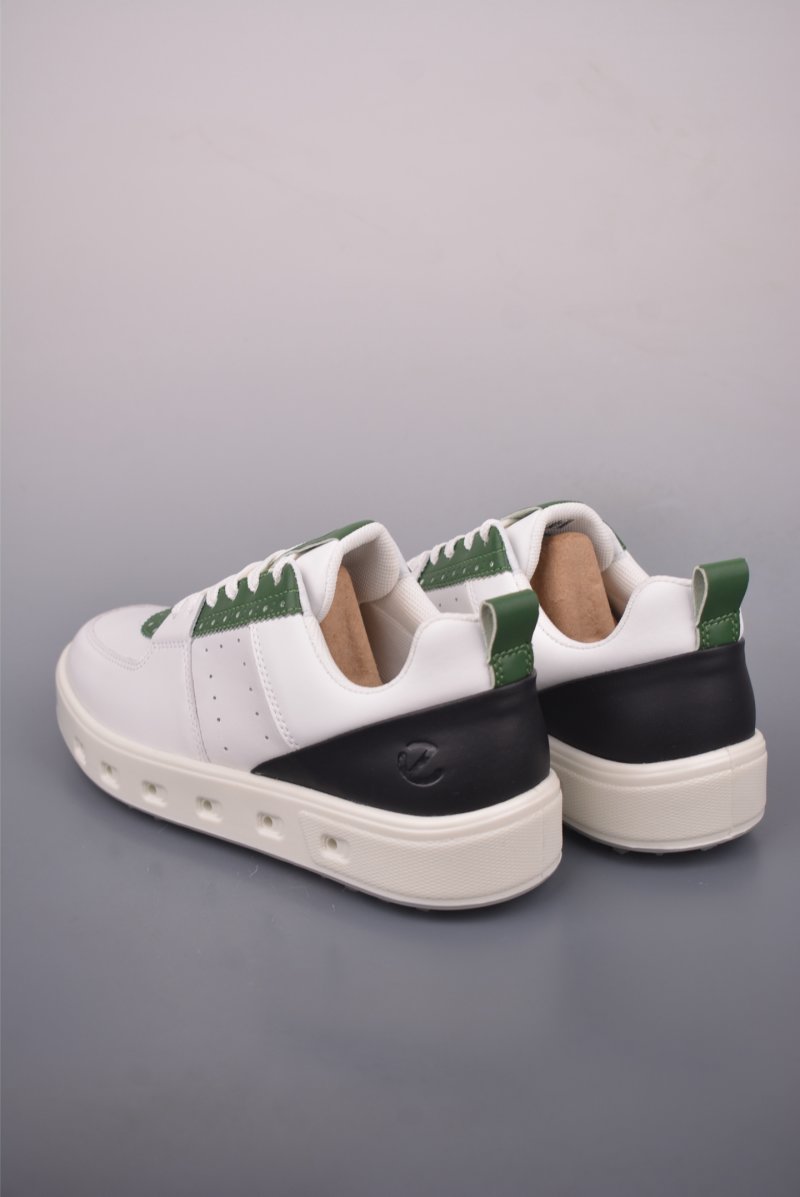 ECCO Biom view