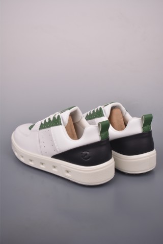 ECCO Biom view 2