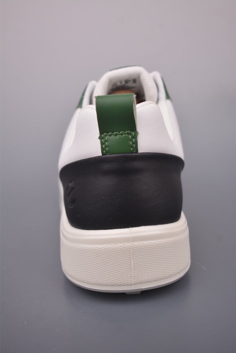 ECCO Biom view