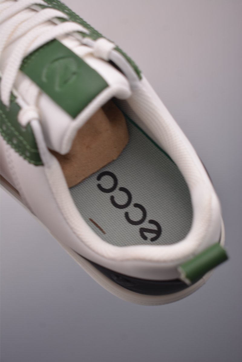 ECCO Biom view