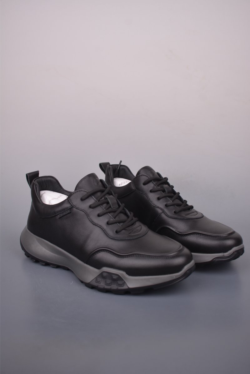 ECCO Biom