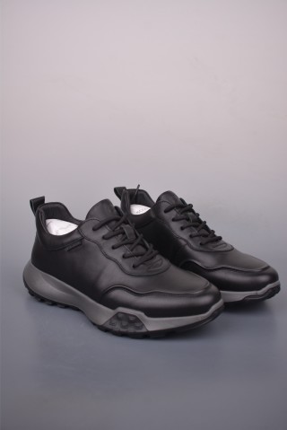 ECCO Biom view 1